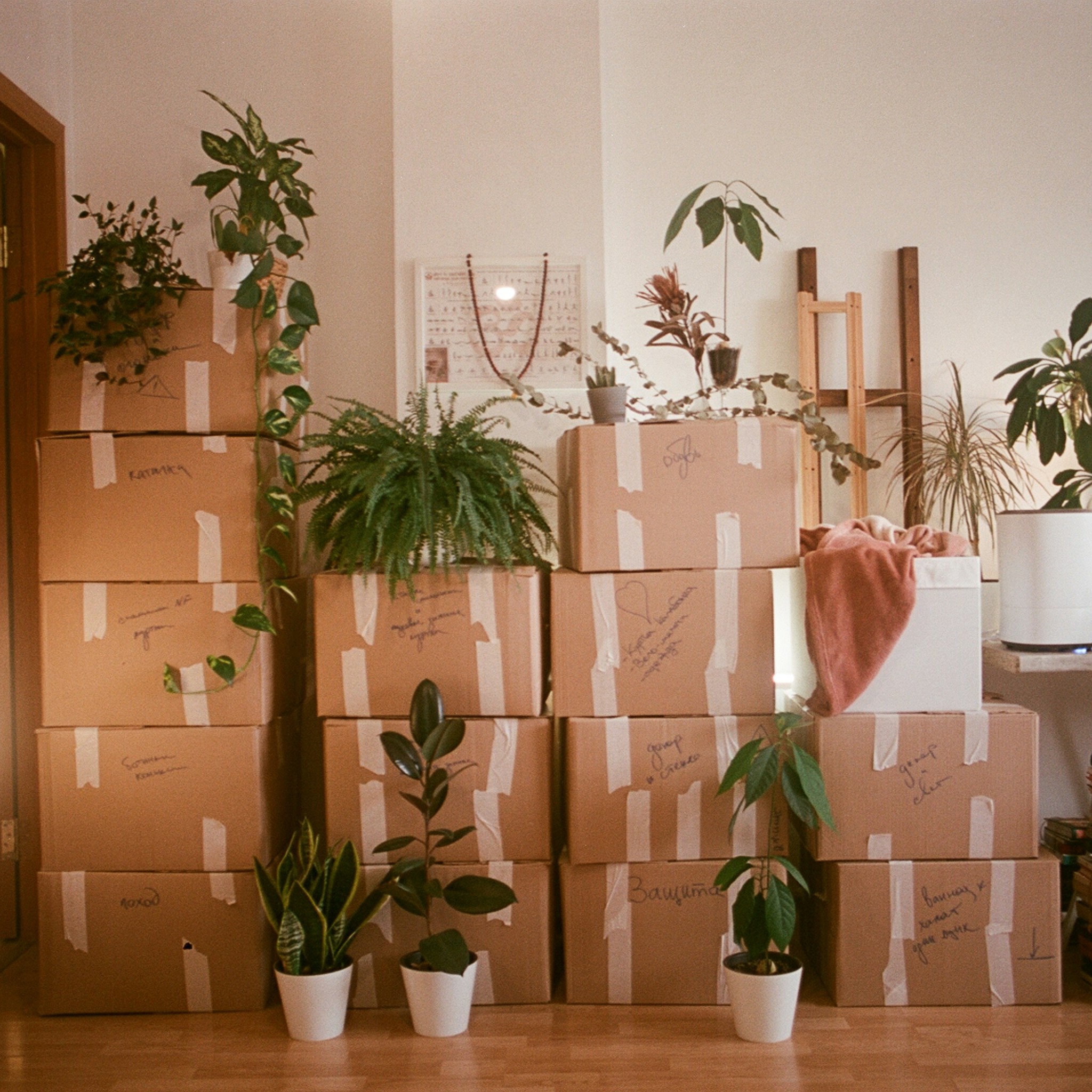 Dina Badamshina J7vbBmTHmjY Unsplash