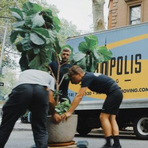 Handiwork Nyc X6pnKtPZ 8s Unsplash 300x300